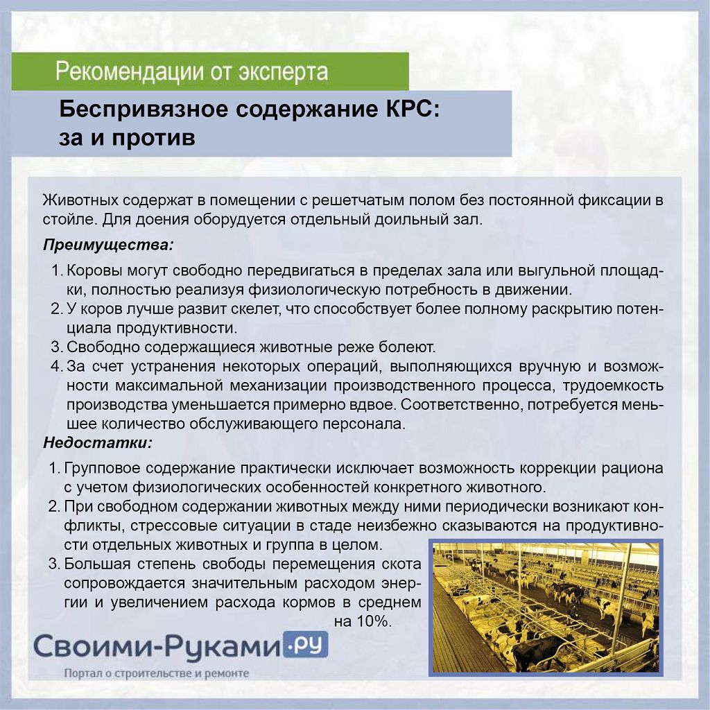 Содержание крупнорогатого скота. Способы содержания коров. Способы содержания КРС. Системы и способы содержания крупного рогатого скота. Беспривязное содержание КРС.